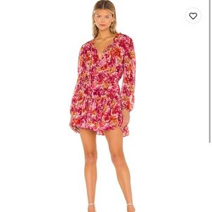 Like New MISA Los Angeles Clementine Dress